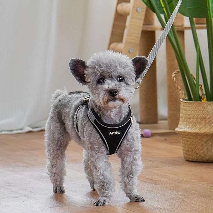 AIITLE Easy Walk Dog Harness and Leash Set - Image 3