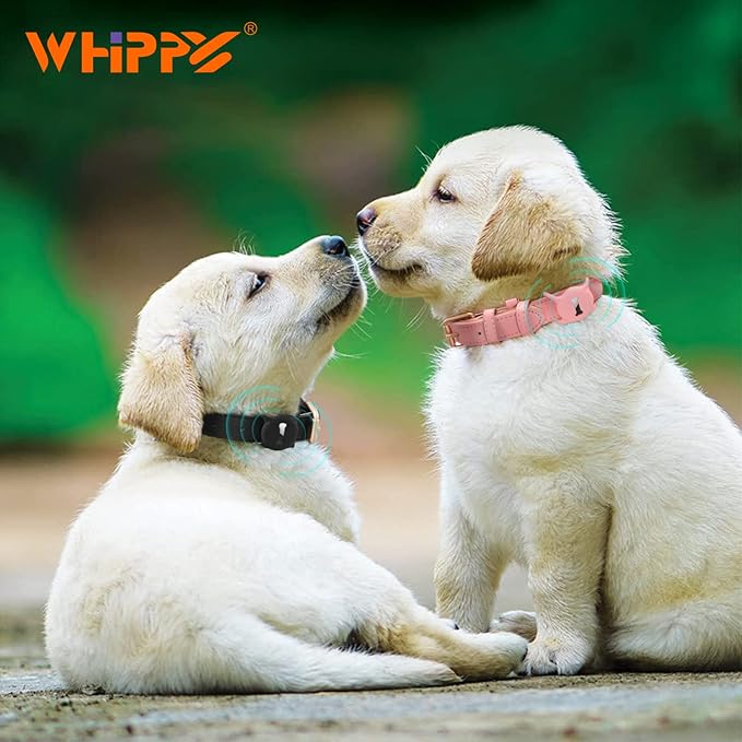WHIPPY Airtag Leather Dog Collar GPS Tracker Air Tag Puppy Collar Adjustable - Image 5