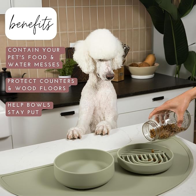 Should We Go -Waterproof Silicone Pet Food Mat - Image 2