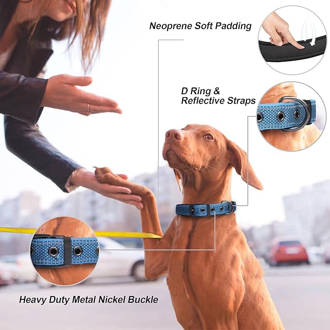 PetiFine Neoprene Padded Dog Collar, Heavy Duty Comfort Dog Collar - Image 2