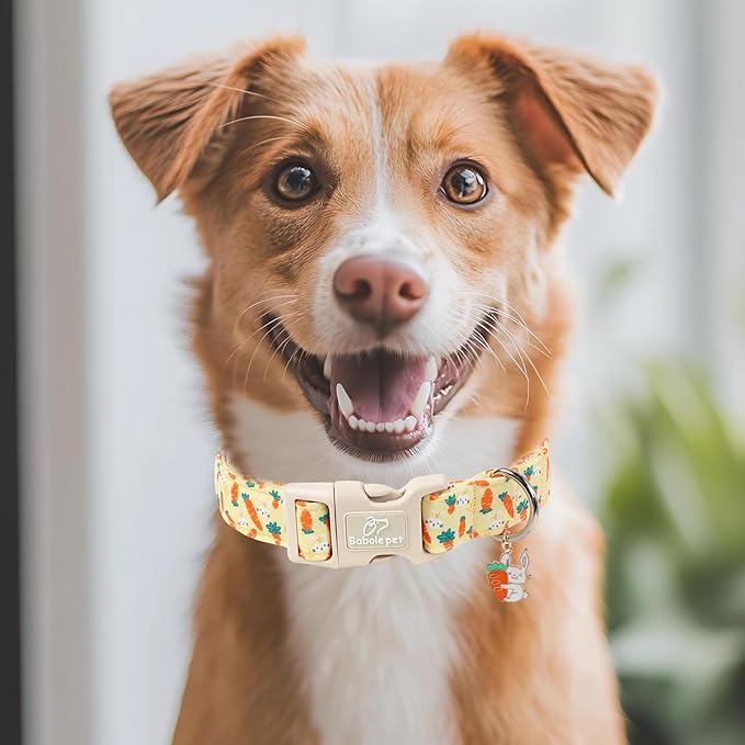Easter Dog Collar for Large Dogs - Image 7