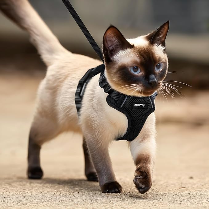 Cat Harness and Leash Set for Walking Escape Proof, Improved Four Place - Image 5