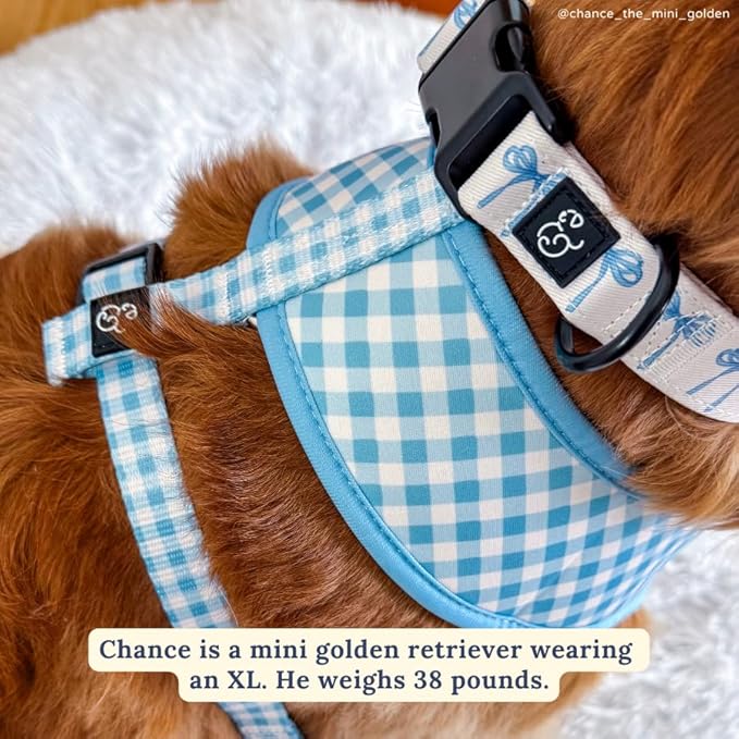Lucy & Co. Cute Reversible Dog Harness Walking Halter - Image 6