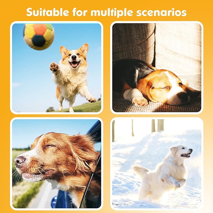 2-in-1 GPS Tracker for Dogs: Smart Collar - Image 8