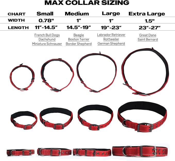 PetiFine Dog Collar with Metal Buckle, Heavy Duty Dog Collar with Soft Neoprene - Image 5