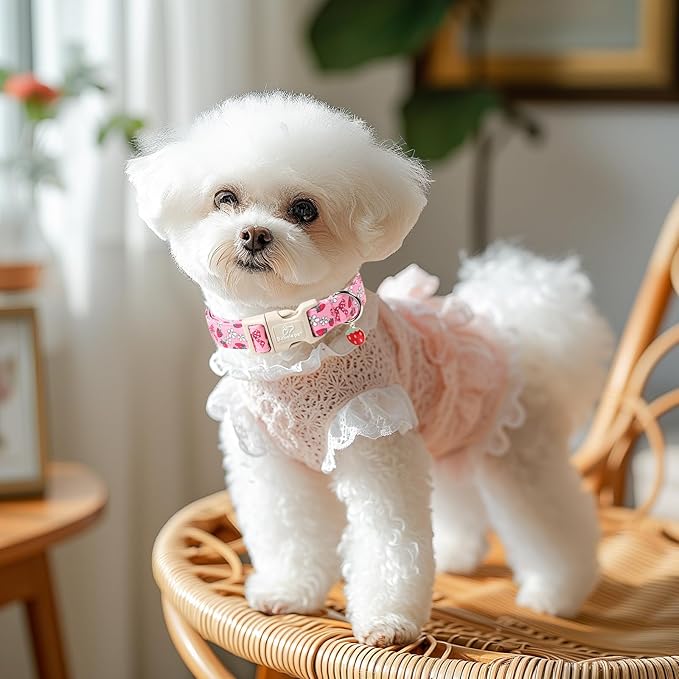 Strawberry Bow Dog Collar for Medium Dogs - Image 2