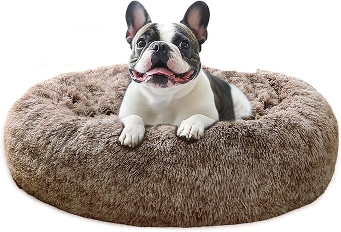JOLLYVOGUE Calming Dog Bed Large Size Dog, Anti-Anxiety Donut Large Pet Bed by JOLLYVOGUE