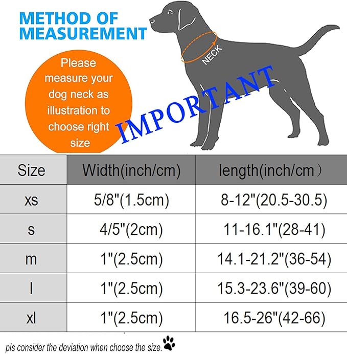 DOGWONG Fall Dog Collar - Image 6