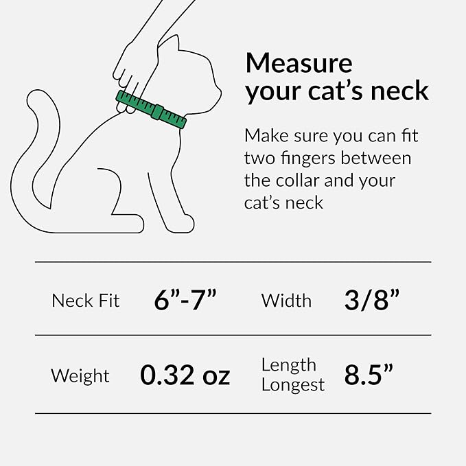 CollarDirect Leather Cat Collar, Cat Safety Collar - Image 2