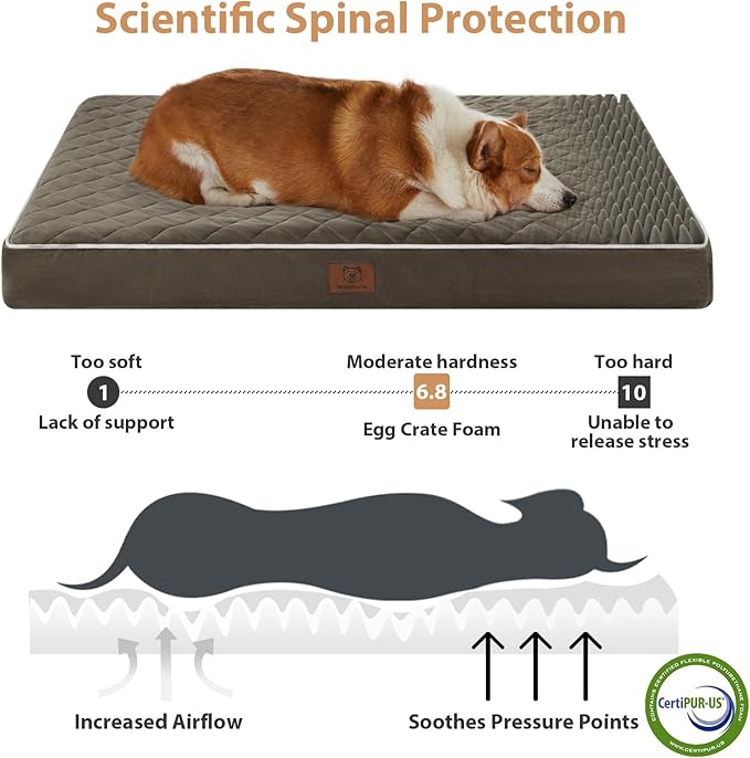 WNPETHOME Orthopedic XL Dog Beds Large Sized Dog, Waterproof Extra Large Dogs - Image 3