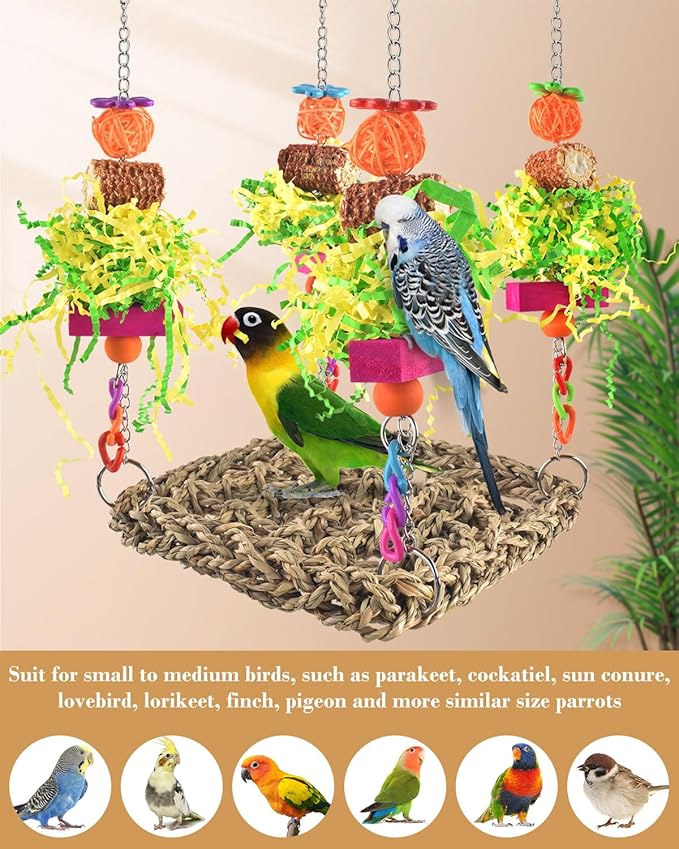 ERKOON Conure Toys, Bird Cockatiel Toys Foraging Swing Mat Parrot Climbing - Image 4