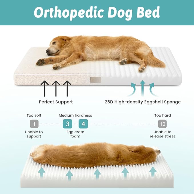 Dog Crate Bed for Large Size Dogs, Rectangular Orthopedic Dog Beds, Foam - Image 2