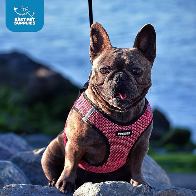 Best Pet Supplies Voyager Step-in Air Harness - Image 11