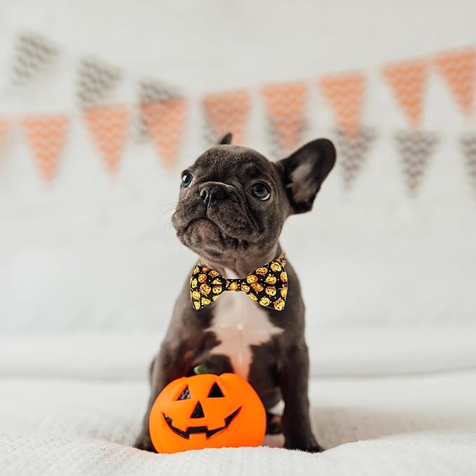 Halloween Dog Bow Tie Collar, Holiday Skull Pumpkin Collar - Image 4