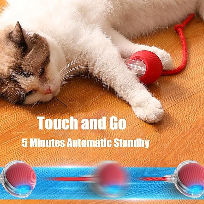 Interactive Cat Toy, Electric DogBall Toy, Cat Toys - Image 7