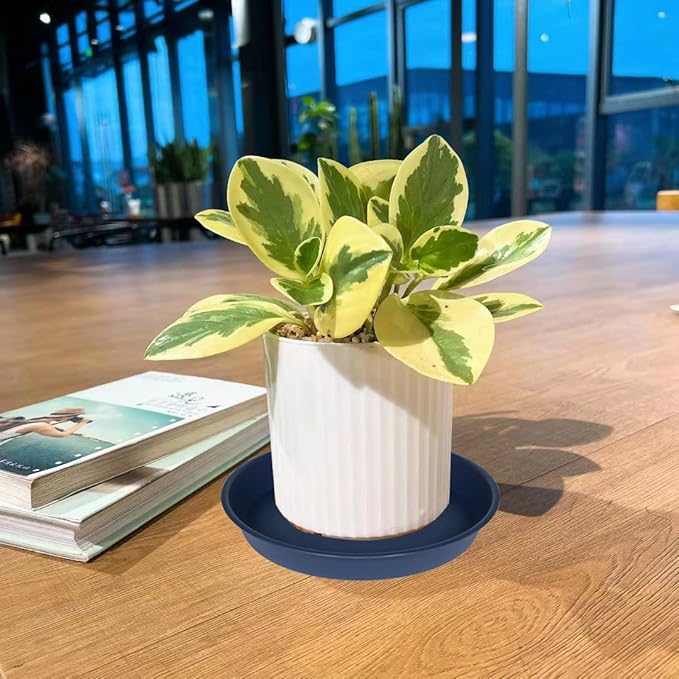 2 Pack of 18 19 inch Plant Saucer Drip Tray, Heavy Duty Deep Plant Saucers - Image 7