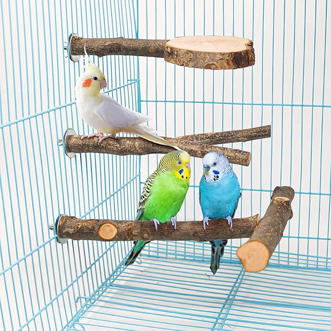 Allazone 4 PCS Natural Wood Bird Perch Stand, Bird Parrot Perch Stand Set - Image 6