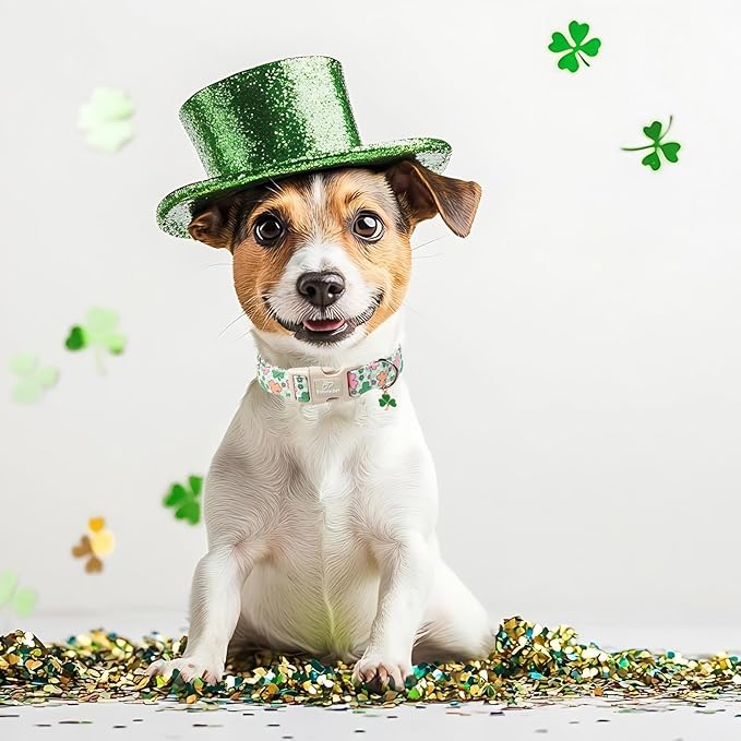 St Patricks Day Dog Collar for Large Dogs - Image 3