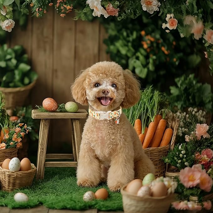 Easter Dog Collar for Medium Dogs - Image 2