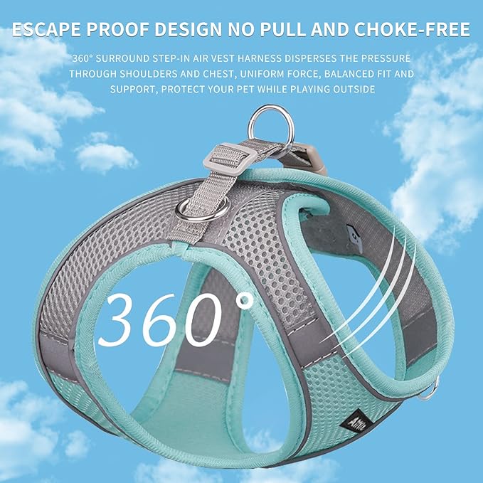 AIITLE No Pull Dog Harness and Leash Set, Step in Adjustable Dog Harness - Image 6