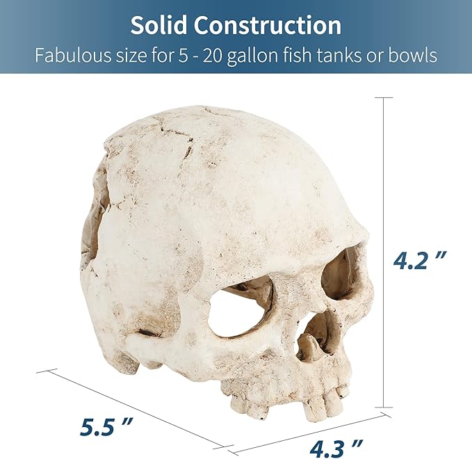 Uniclife Aquarium Skull Reptile House Decor Resin Head Skeleton Ornament - Image 5