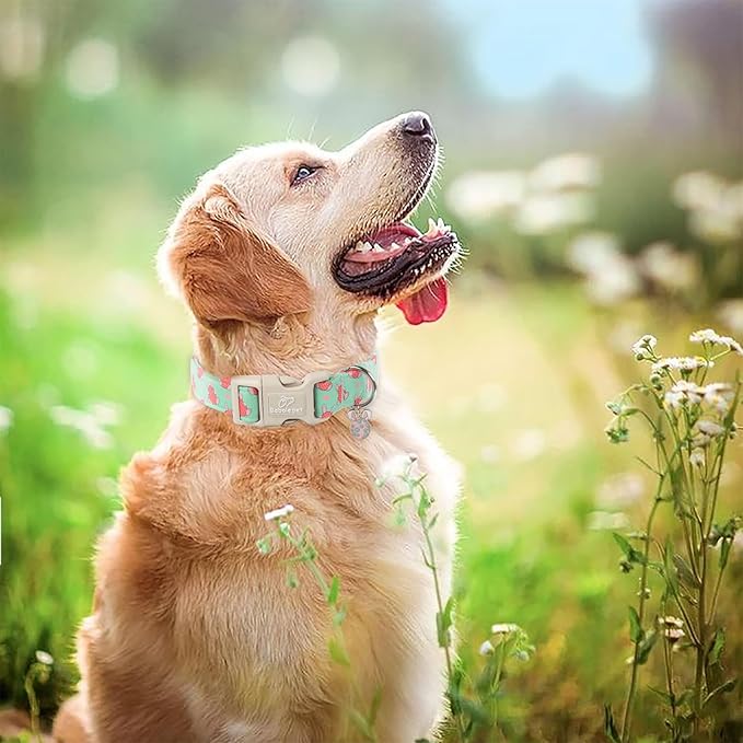 Easter Dog Collar for Medium Dogs - Image 2