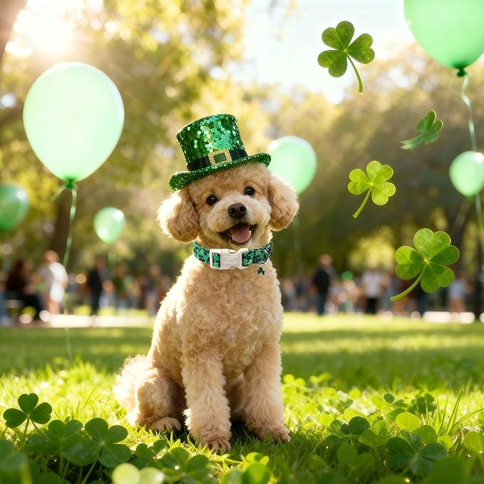 St Patricks Day Dog Collar for Large Dogs - Image 2
