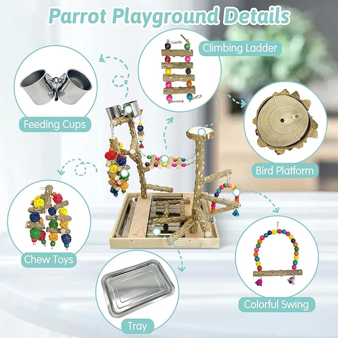 PINVNBY Bird Playground Natural Wood Parrot Perch Stand Bird Play Gym Colorful - Image 3