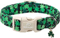 St Patricks Day Dog Collar for Small Dogs by Babolepet