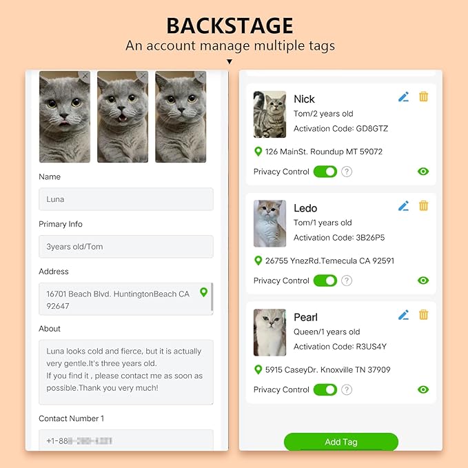 Smart Lost & Found System: Breakaway Cat Collar - Image 9