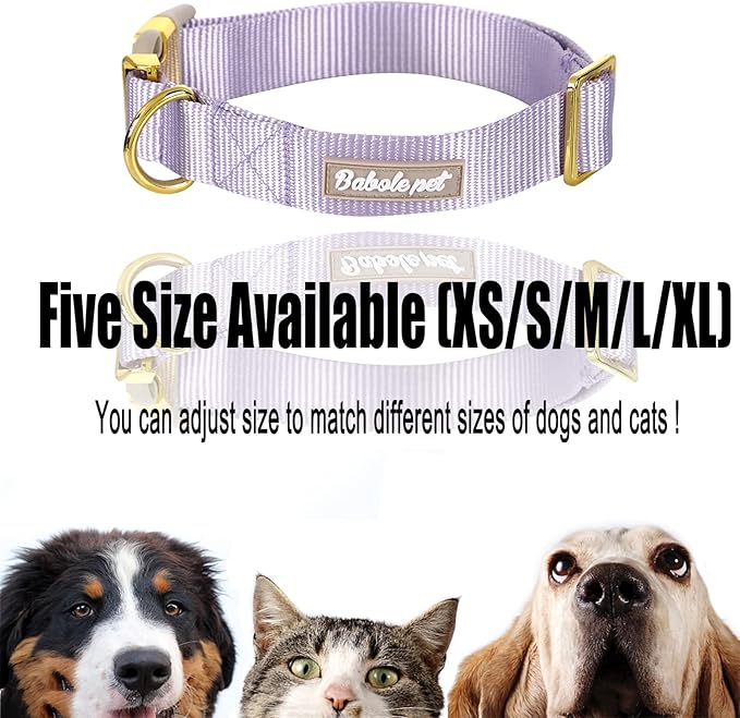 Nylon Dog Collar - Image 6