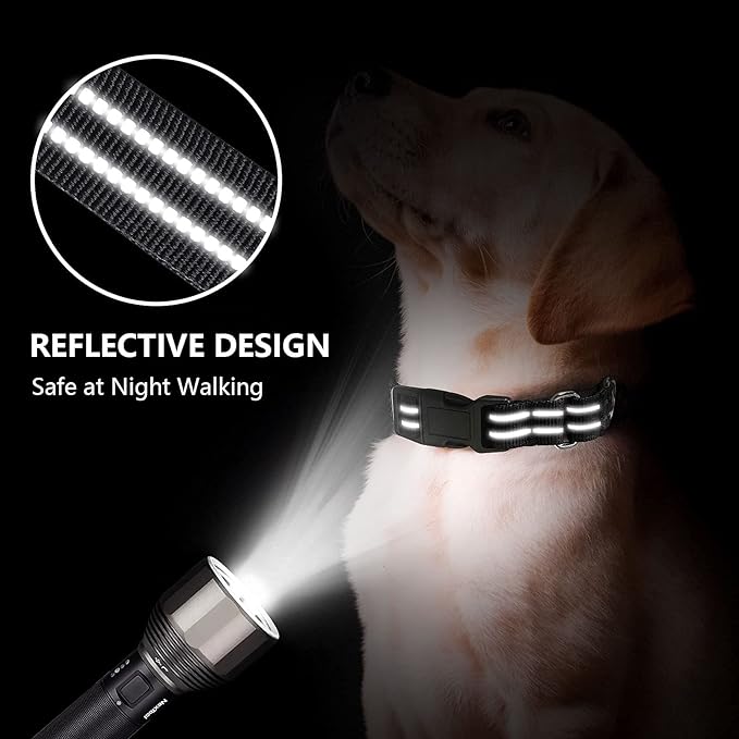 Martingale Dog Collar, Adjustable Nylon Reflective Collar - Image 2