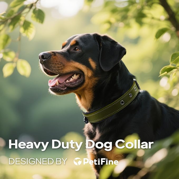 PetiFine Dog Collars for Small Dogs, Neoprene Padded Dog Collar, Reflective - Image 2