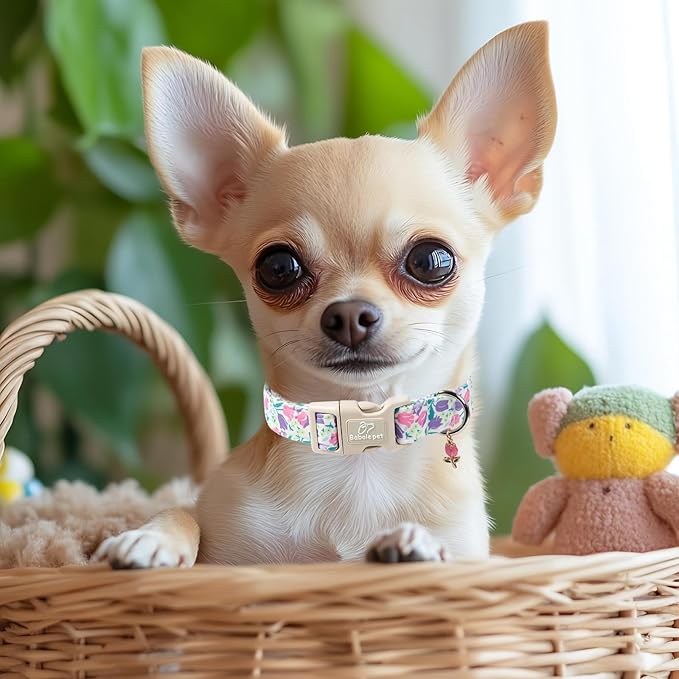 Floral Dog Collar for Large Dogs - Image 6