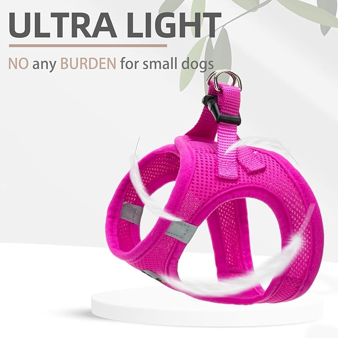 PUPTECK Adjustable Dog Harness Collar and Leash Set Step in No Pull Pet Harness - Image 6