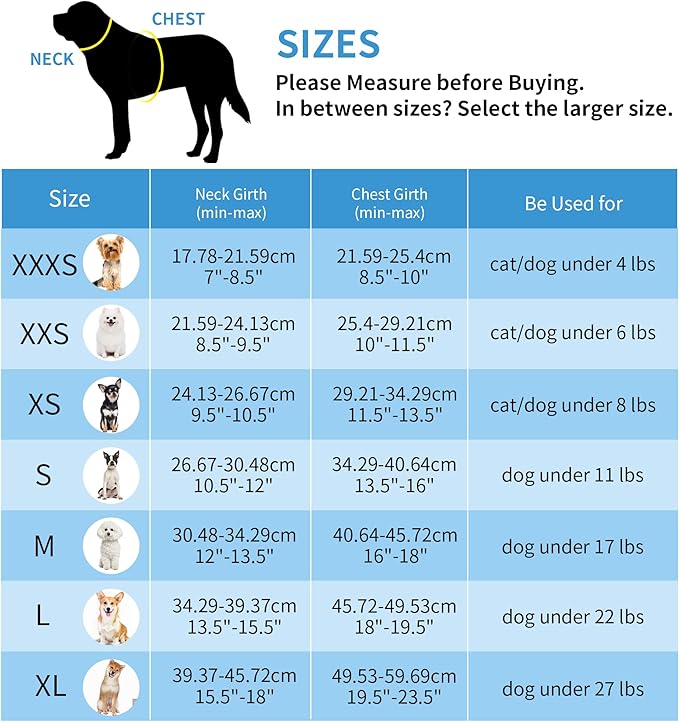 AIITLE Step in Dog Harness and Leash Set - Image 4