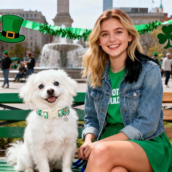 DOGWONG St. Patrick's Day Dog Collar, Lucky Clover Shamrock Green Dog Collar - Image 5