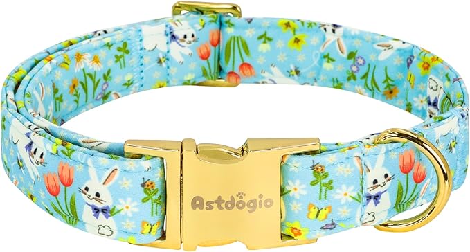 Easter Dog Collar for Medium Dogs, Easter & Spring Theme Medium Dog Collar by Unknown