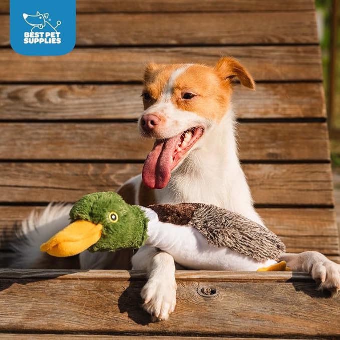 Best Pet Supplies Interactive Squeaky Dog Chew Toy, Ideal Dog Toys - Image 7
