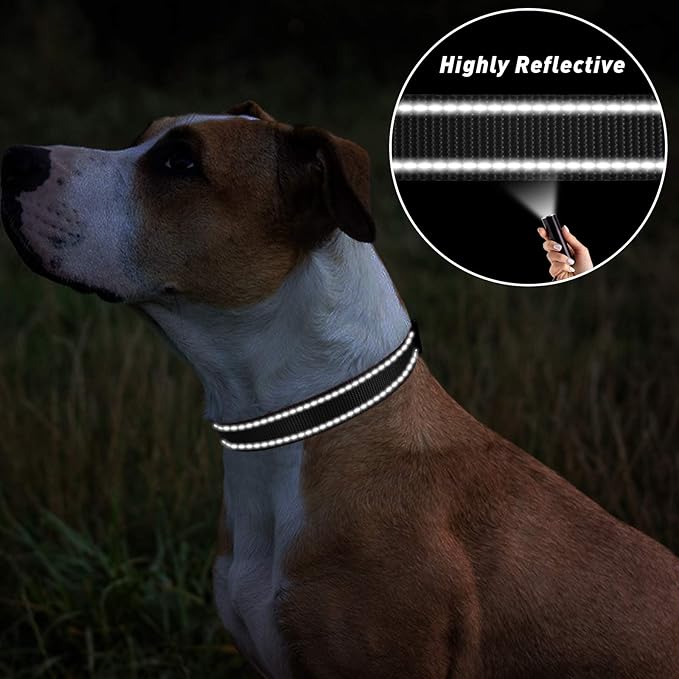 TagME Dog Collars, Adjustable Reflective Nylon Pet Collar - Image 5