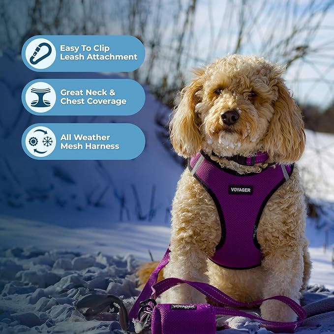 Best Pet Supplies - Image 5