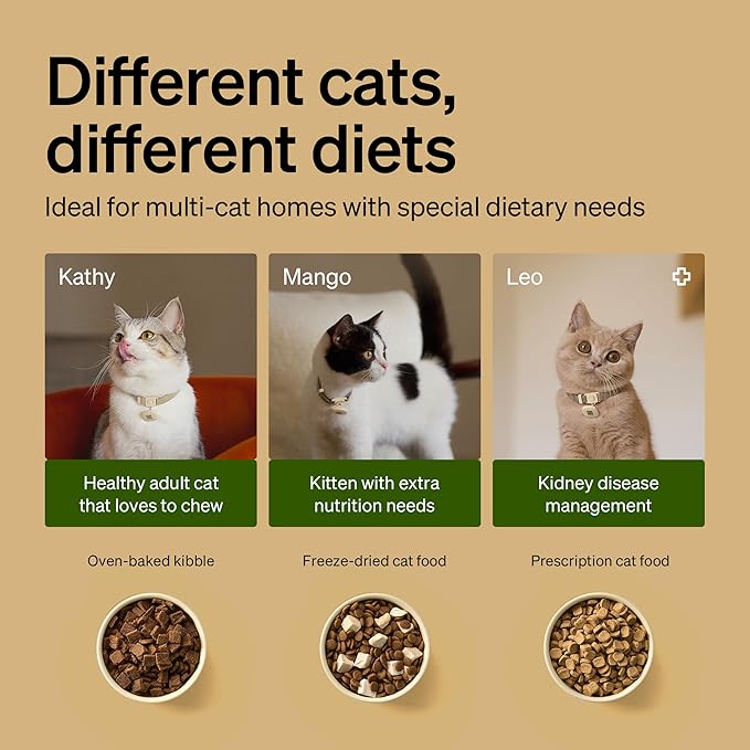 PETLIBRO RFID Cat Feeders for 2 Cats, Collar Sensor for Personalized Meals - Image 5