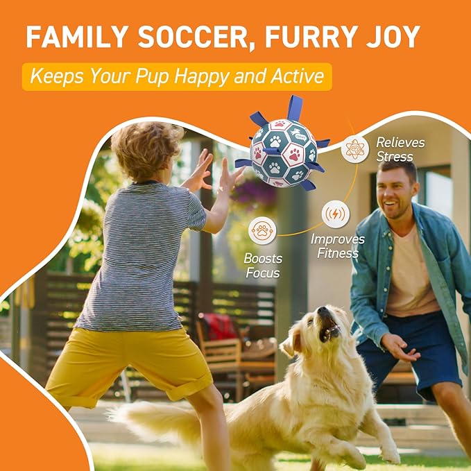 QDAN Large Dog Toys, 8 Inch Durable Balls - Image 5