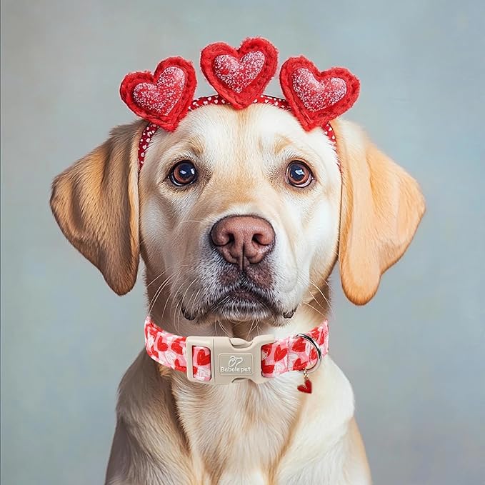 Valentines Dog Collar for Giant Large Dogs - Image 5