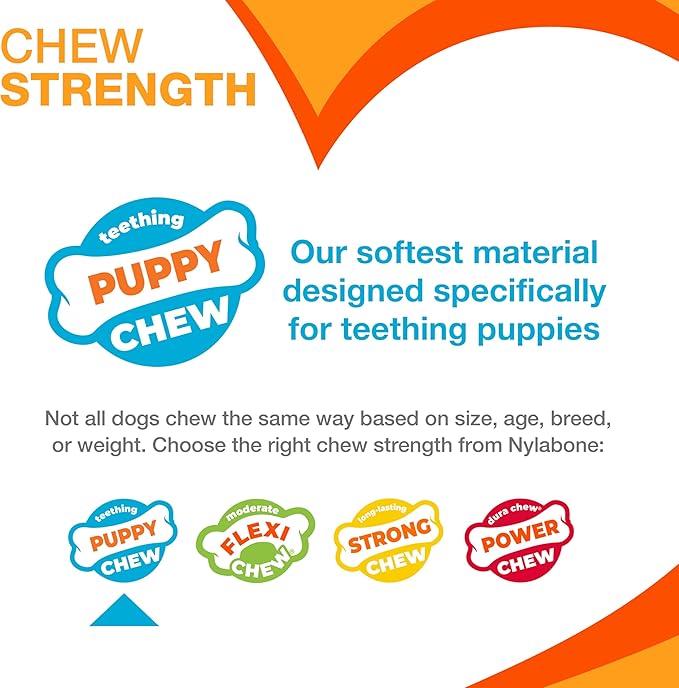 Nylabone New Puppy Starter Kit, Chew Toys & Natural Chew Treat - Image 4