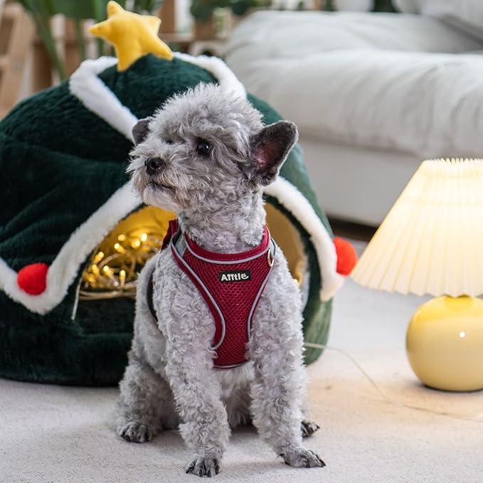 AIITLE Comfortable Dog Harness and Leash Set - Image 2