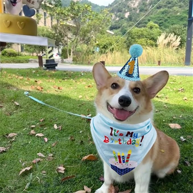 Pet Birthday Party Set, Dogs Bandana and Dog Birthday Hat - Image 8