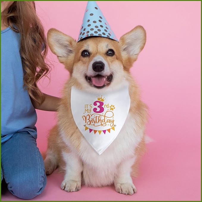 It's My 3rd Birthday Dog Bandana Happy 3rd Birthday Pet Triangle Scarf - Image 6