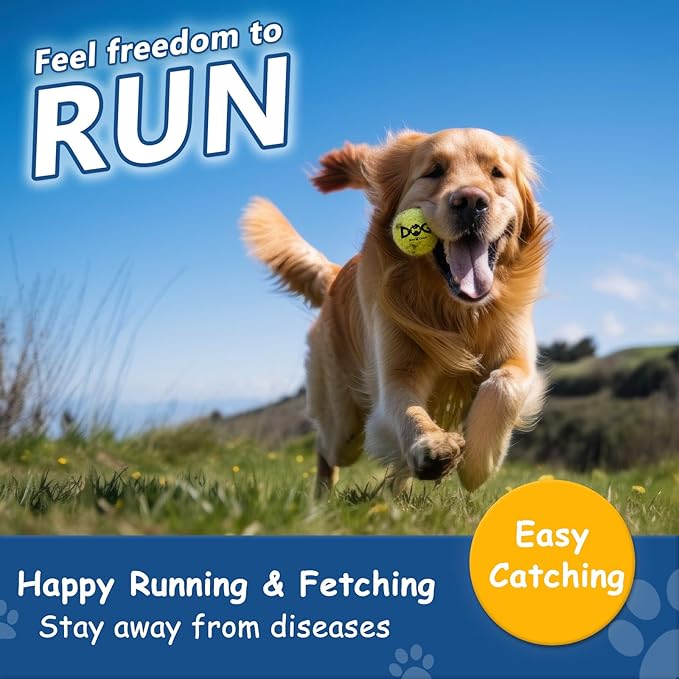 Tennis Balls for Dogs - Image 2