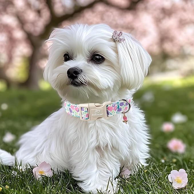 Floral Dog Collar for Medium Dogs - Image 5